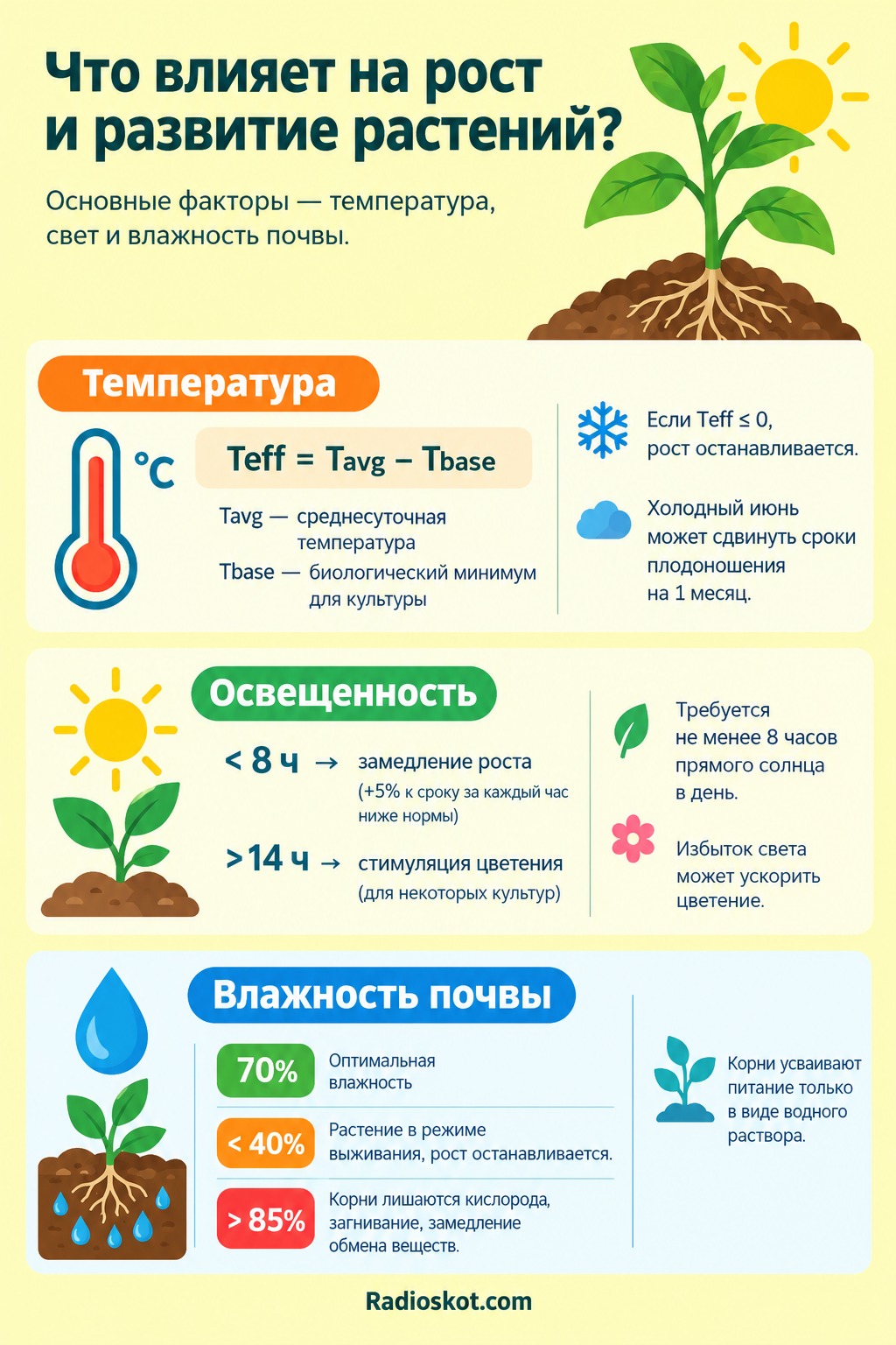 Главные факторы роста и математика урожая растений